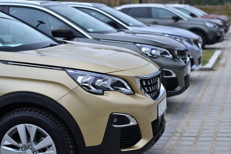 Luxury vs Economy Car Rental